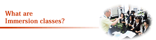 What are Immersion classes?