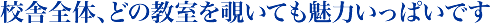 校舎全体、どの教室を覗いても魅力いっぱいです