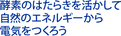 酵素のはたらきを活かして　自然のエネルギーから電気をつくろう